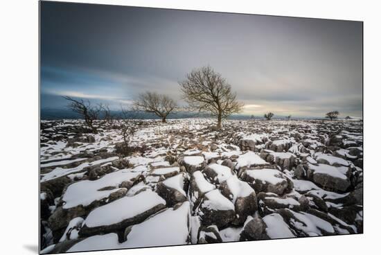 Twistleton Scar End in Snow, Ingleton, Yorkshire Dales, Yorkshire, England, United Kingdom, Europe-Bill Ward-Mounted Premium Photographic Print