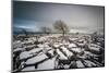 Twistleton Scar End in Snow, Ingleton, Yorkshire Dales, Yorkshire, England, United Kingdom, Europe-Bill Ward-Mounted Photographic Print