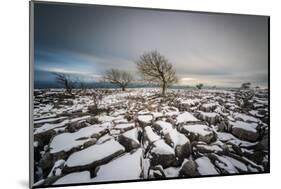 Twistleton Scar End in Snow, Ingleton, Yorkshire Dales, Yorkshire, England, United Kingdom, Europe-Bill Ward-Mounted Photographic Print