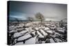 Twistleton Scar End in Snow, Ingleton, Yorkshire Dales, Yorkshire, England, United Kingdom, Europe-Bill Ward-Stretched Canvas