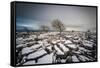 Twistleton Scar End in Snow, Ingleton, Yorkshire Dales, Yorkshire, England, United Kingdom, Europe-Bill Ward-Framed Stretched Canvas