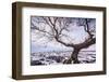 Twistleton Scar End in Snow, Ingleton, Yorkshire Dales, Yorkshire, England, United Kingdom, Europe-Bill Ward-Framed Photographic Print