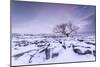 Twistleton Scar End in Snow, Ingleton, Yorkshire Dales, Yorkshire, England, United Kingdom, Europe-Bill Ward-Mounted Photographic Print