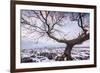 Twistleton Scar End in Snow, Ingleton, Yorkshire Dales, Yorkshire, England, United Kingdom, Europe-Bill Ward-Framed Photographic Print