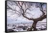 Twistleton Scar End in Snow, Ingleton, Yorkshire Dales, Yorkshire, England, United Kingdom, Europe-Bill Ward-Framed Stretched Canvas