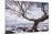 Twistleton Scar End in Snow, Ingleton, Yorkshire Dales, Yorkshire, England, United Kingdom, Europe-Bill Ward-Mounted Premium Photographic Print