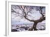 Twistleton Scar End in Snow, Ingleton, Yorkshire Dales, Yorkshire, England, United Kingdom, Europe-Bill Ward-Framed Photographic Print