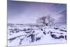 Twistleton Scar End in Snow, Ingleton, Yorkshire Dales, Yorkshire, England, United Kingdom, Europe-Bill Ward-Mounted Photographic Print