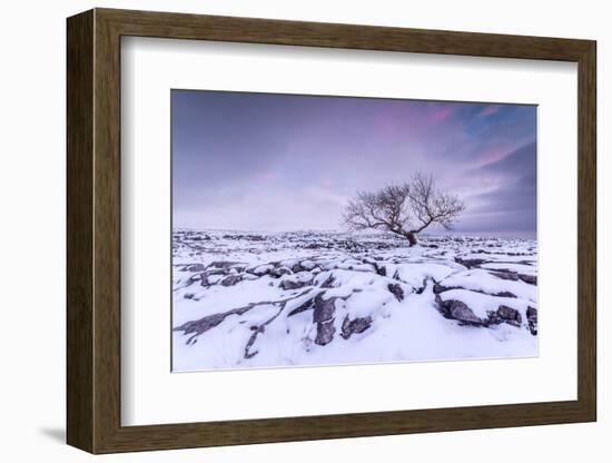 Twistleton Scar End in Snow, Ingleton, Yorkshire Dales, Yorkshire, England, United Kingdom, Europe-Bill Ward-Framed Photographic Print