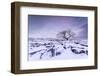 Twistleton Scar End in Snow, Ingleton, Yorkshire Dales, Yorkshire, England, United Kingdom, Europe-Bill Ward-Framed Photographic Print