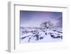 Twistleton Scar End in Snow, Ingleton, Yorkshire Dales, Yorkshire, England, United Kingdom, Europe-Bill Ward-Framed Photographic Print