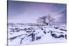 Twistleton Scar End in Snow, Ingleton, Yorkshire Dales, Yorkshire, England, United Kingdom, Europe-Bill Ward-Stretched Canvas