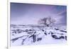 Twistleton Scar End in Snow, Ingleton, Yorkshire Dales, Yorkshire, England, United Kingdom, Europe-Bill Ward-Framed Photographic Print