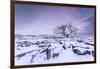 Twistleton Scar End in Snow, Ingleton, Yorkshire Dales, Yorkshire, England, United Kingdom, Europe-Bill Ward-Framed Photographic Print