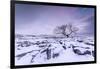 Twistleton Scar End in Snow, Ingleton, Yorkshire Dales, Yorkshire, England, United Kingdom, Europe-Bill Ward-Framed Photographic Print