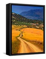 Twisty Road, Near Casabermeja, Malaga Province, Andalusia, Spain-null-Framed Stretched Canvas
