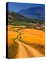 Twisty Road, Near Casabermeja, Malaga Province, Andalusia, Spain-null-Stretched Canvas