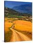 Twisty Road, Near Casabermeja, Malaga Province, Andalusia, Spain-null-Stretched Canvas