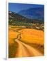 Twisty Road, Near Casabermeja, Malaga Province, Andalusia, Spain-null-Framed Premium Photographic Print