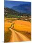 Twisty Road, Near Casabermeja, Malaga Province, Andalusia, Spain-null-Mounted Premium Photographic Print