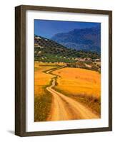 Twisty Road, Near Casabermeja, Malaga Province, Andalusia, Spain-null-Framed Photographic Print