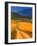 Twisty Road, Near Casabermeja, Malaga Province, Andalusia, Spain-null-Framed Photographic Print