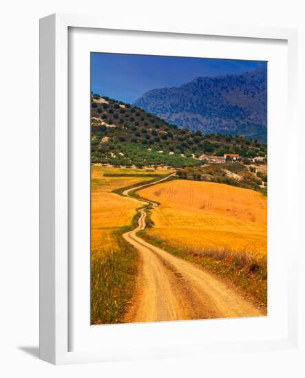 Twisty Road, Near Casabermeja, Malaga Province, Andalusia, Spain-null-Framed Photographic Print