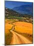 Twisty Road, Near Casabermeja, Malaga Province, Andalusia, Spain-null-Mounted Photographic Print