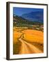 Twisty Road, Near Casabermeja, Malaga Province, Andalusia, Spain-null-Framed Photographic Print