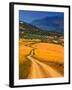 Twisty Road, Near Casabermeja, Malaga Province, Andalusia, Spain-null-Framed Photographic Print