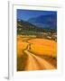 Twisty Road, Near Casabermeja, Malaga Province, Andalusia, Spain-null-Framed Photographic Print