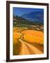 Twisty Road, Near Casabermeja, Malaga Province, Andalusia, Spain-null-Framed Photographic Print