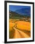 Twisty Road, Near Casabermeja, Malaga Province, Andalusia, Spain-null-Framed Photographic Print