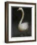 Twitterjam-Lynne Davies-Framed Photographic Print