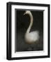 Twitterjam-Lynne Davies-Framed Photographic Print