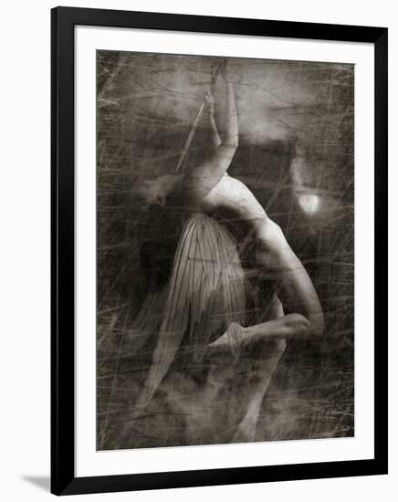 Twitterzoom-Lynne Davies-Framed Photographic Print