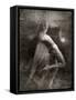 Twitterzoom-Lynne Davies-Framed Stretched Canvas