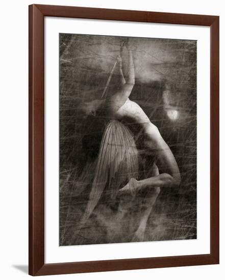 Twitterzoom-Lynne Davies-Framed Photographic Print