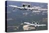 Two A-10C Thunderbolt Aircraft Near Moody Air Force Base, Georgia-null-Stretched Canvas