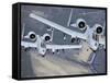 Two A-10C Thunderbolt II Aircraft Fly in Formation-Stocktrek Images-Framed Stretched Canvas