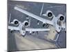 Two A-10C Thunderbolt II Aircraft Fly in Formation-Stocktrek Images-Mounted Photographic Print