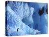 Two Adelie Penguins on Iceberg, Antarctica-Edwin Giesbers-Stretched Canvas