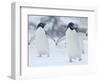 Two Adelie Penguins Walking on Snow, Antarctica-Edwin Giesbers-Framed Photographic Print