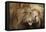 Two Adult Lions, Serengeti National Park, Serengeti, Tanzania-Life on White-Framed Stretched Canvas