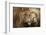 Two Adult Lions, Serengeti National Park, Serengeti, Tanzania-Life on White-Framed Photographic Print