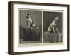 Two Adventurous Dogs-null-Framed Giclee Print