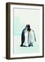 Two Affectionate Penguins-Joel Simon-Framed Premium Photographic Print