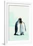 Two Affectionate Penguins-Joel Simon-Framed Photographic Print