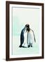 Two Affectionate Penguins-Joel Simon-Framed Photographic Print