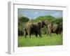 Two African Elephants Greeting, Kruger National Park, South Africa, Africa-Paul Allen-Framed Photographic Print